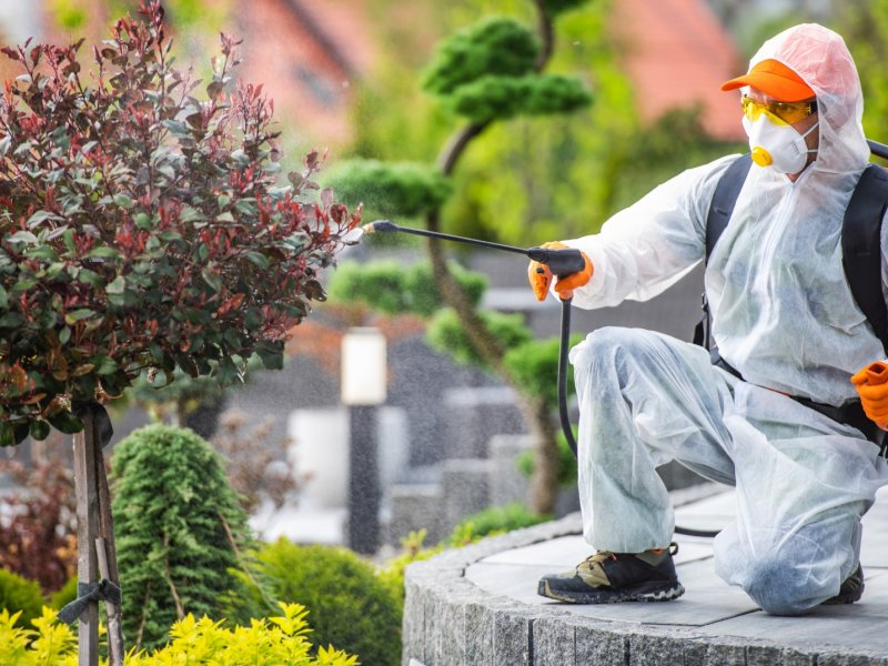 Hatundere Haşere İlaçlama