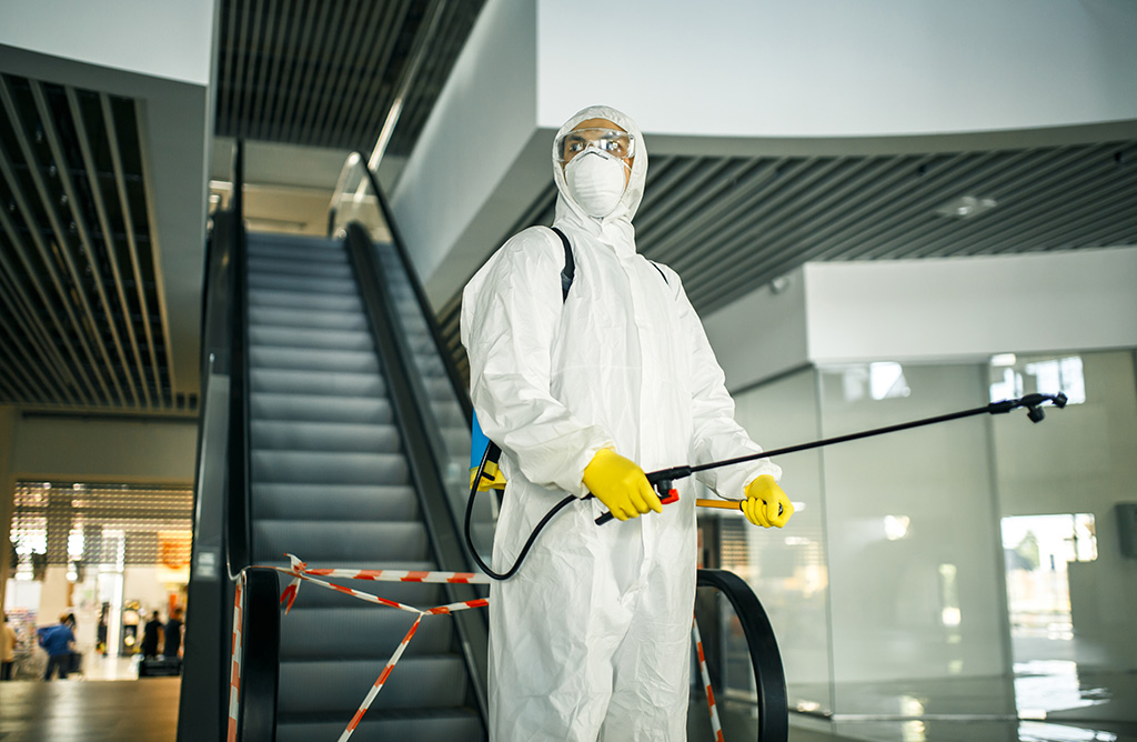 Hatundere Haşere İlaçlama